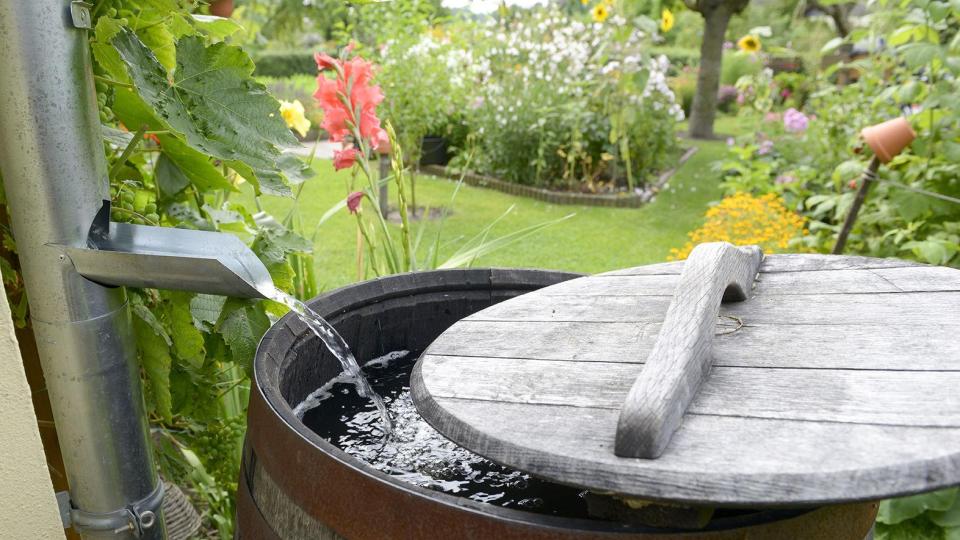 Waterbeheer in tuin