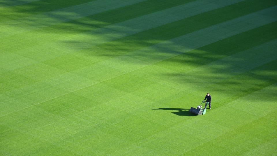 Bodem ziekten plagen fytolicentie