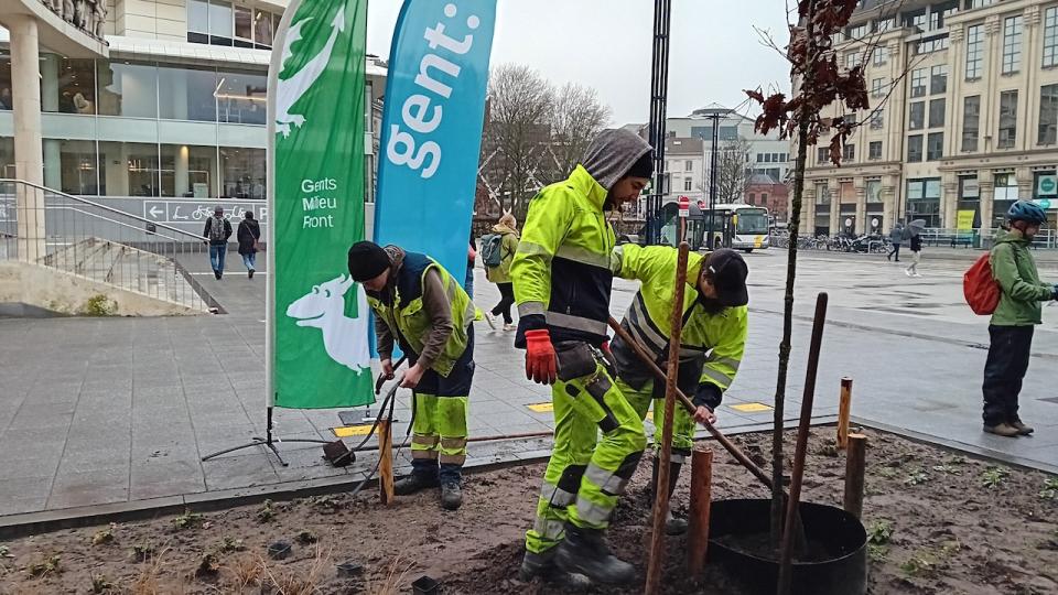 Toekomstbomen Gent