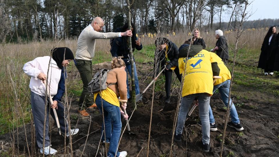 Stichting Nationale Boomfeestdag