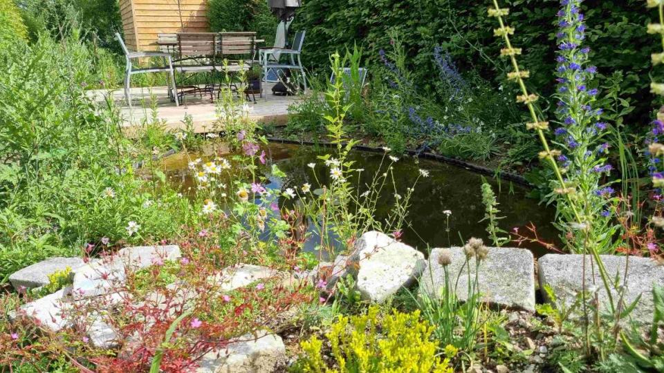 Klimaatvriendelijke tuin