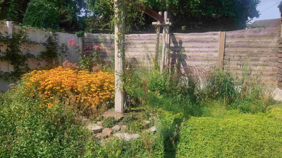 Klimaatvriendelijke tuin materialen