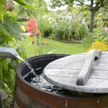 Waterbeheer in tuin