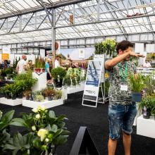 PLANTARIUM|GROEN-Direkt