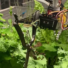 tuinrobot zorgt voor planten