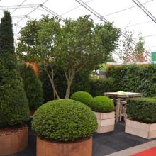 GrootGroenPlus