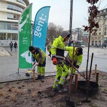 Toekomstbomen Gent