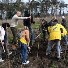 Stichting Nationale Boomfeestdag