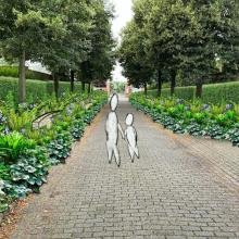 Groene Hoekjes