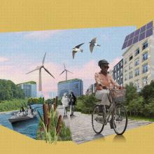 Klimaatbestendige omgeving
